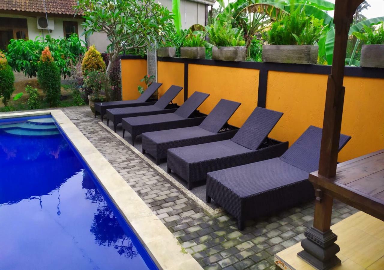 Swan * Ubud